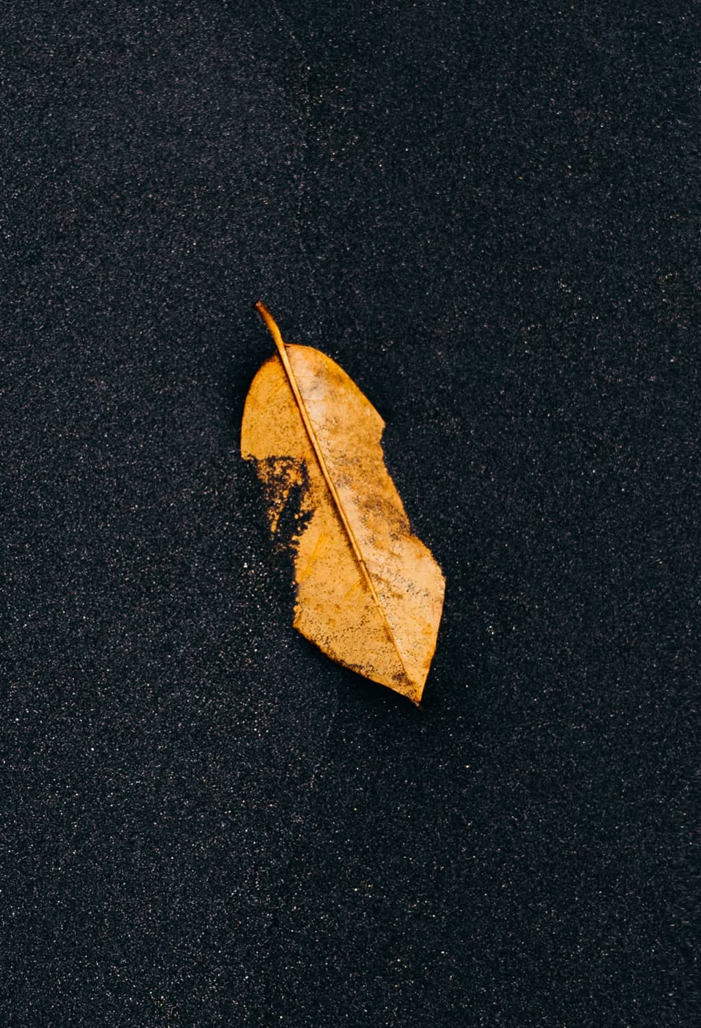 featured-content-one