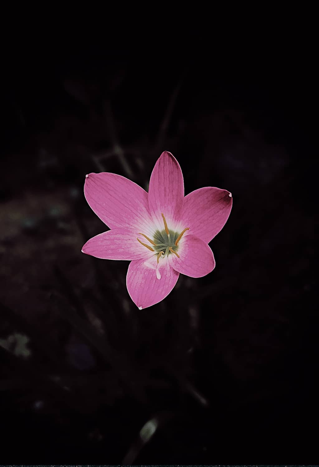 featured-content-two