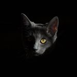 featured-two