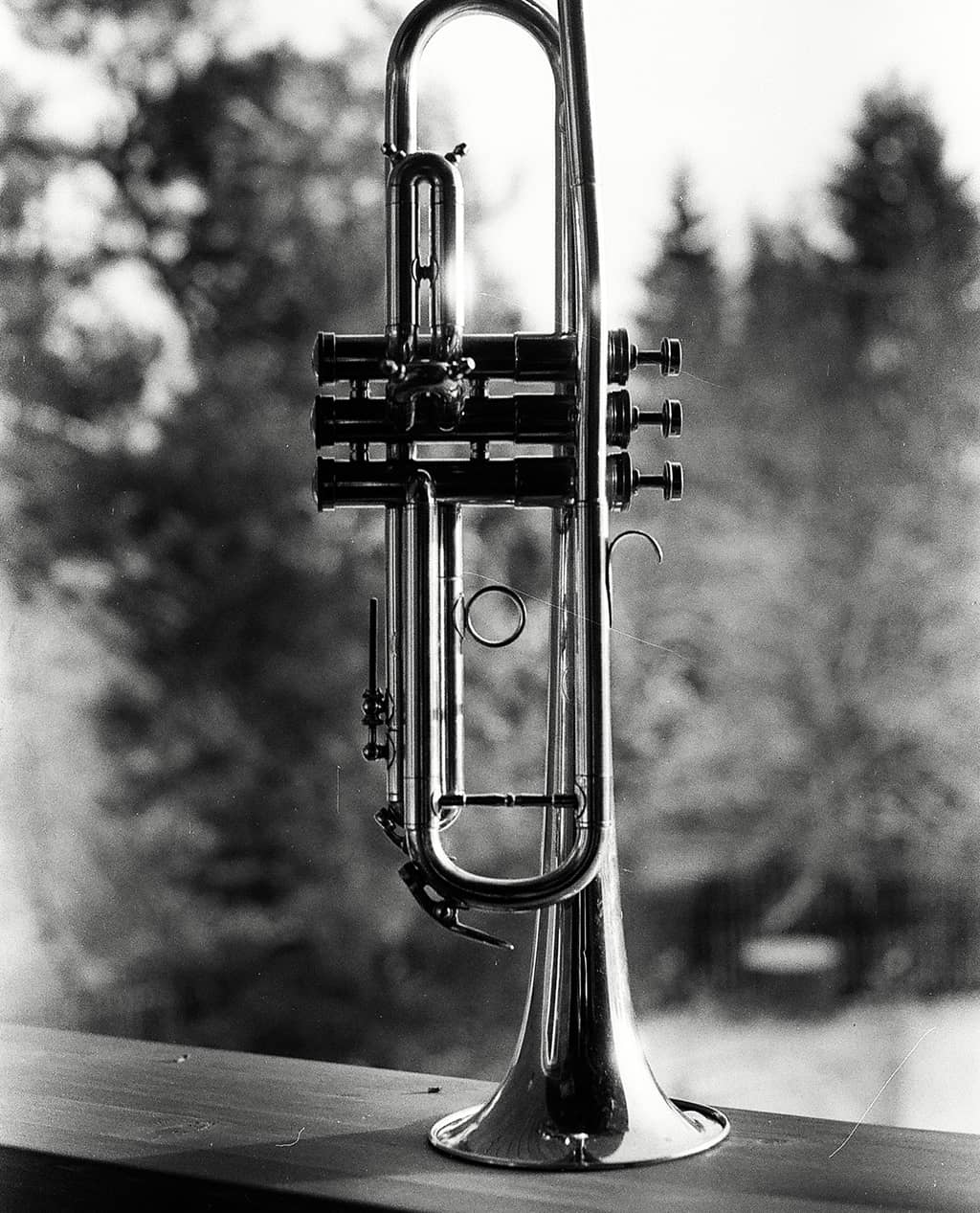 Echo Trumpet
