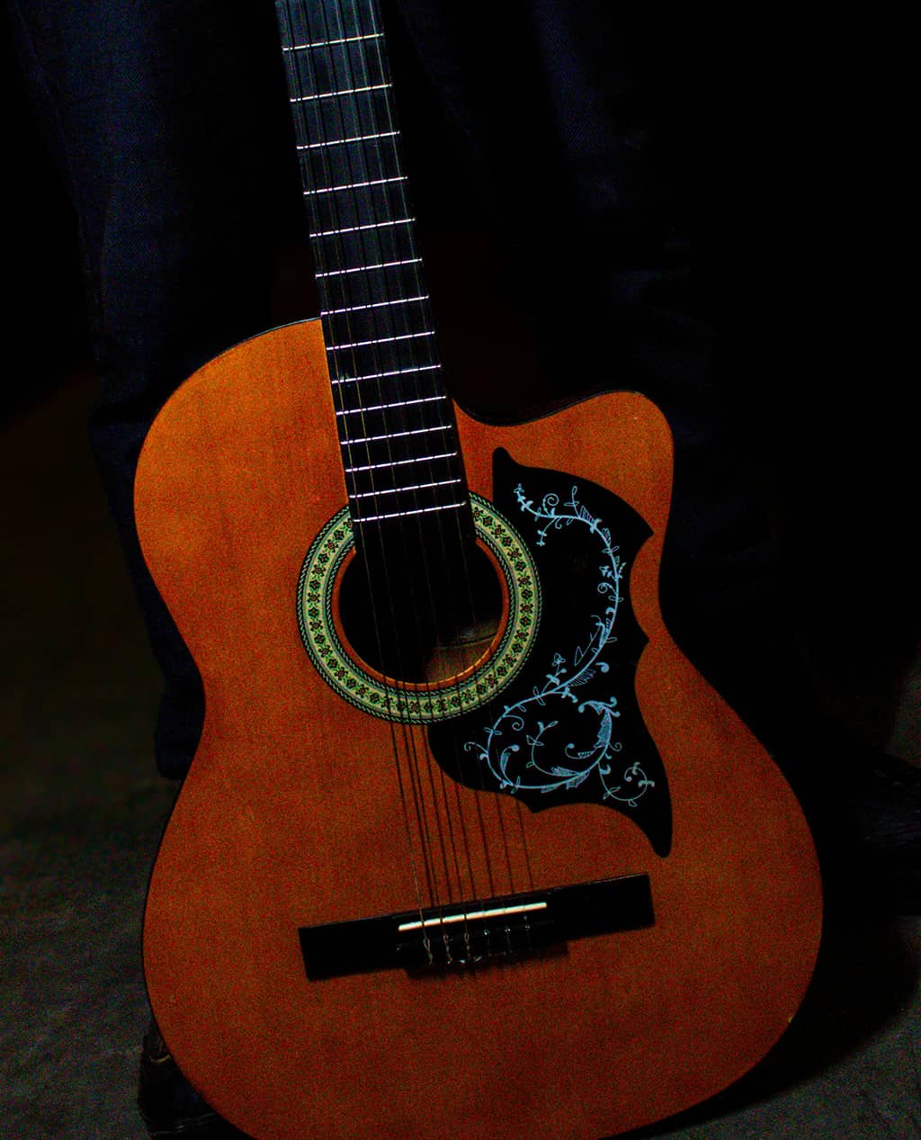 Echo Star Guitar - Image 2