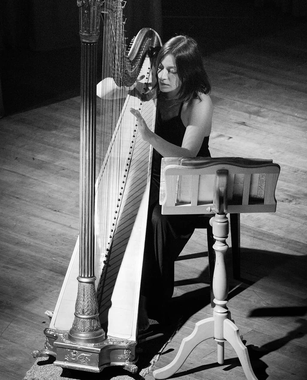 Harmony Harp - Image 4