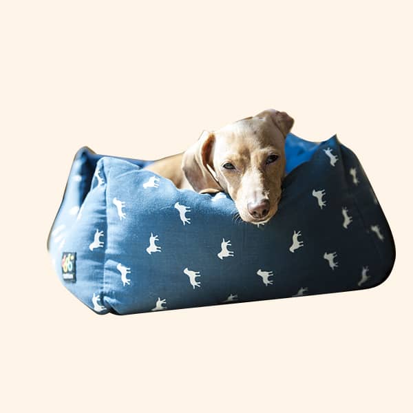 Elevated bed