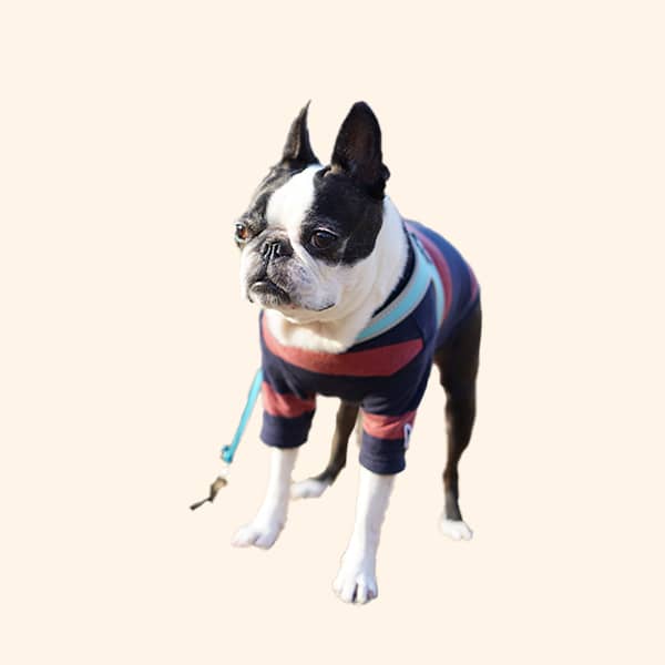 Fair Isle sweater
