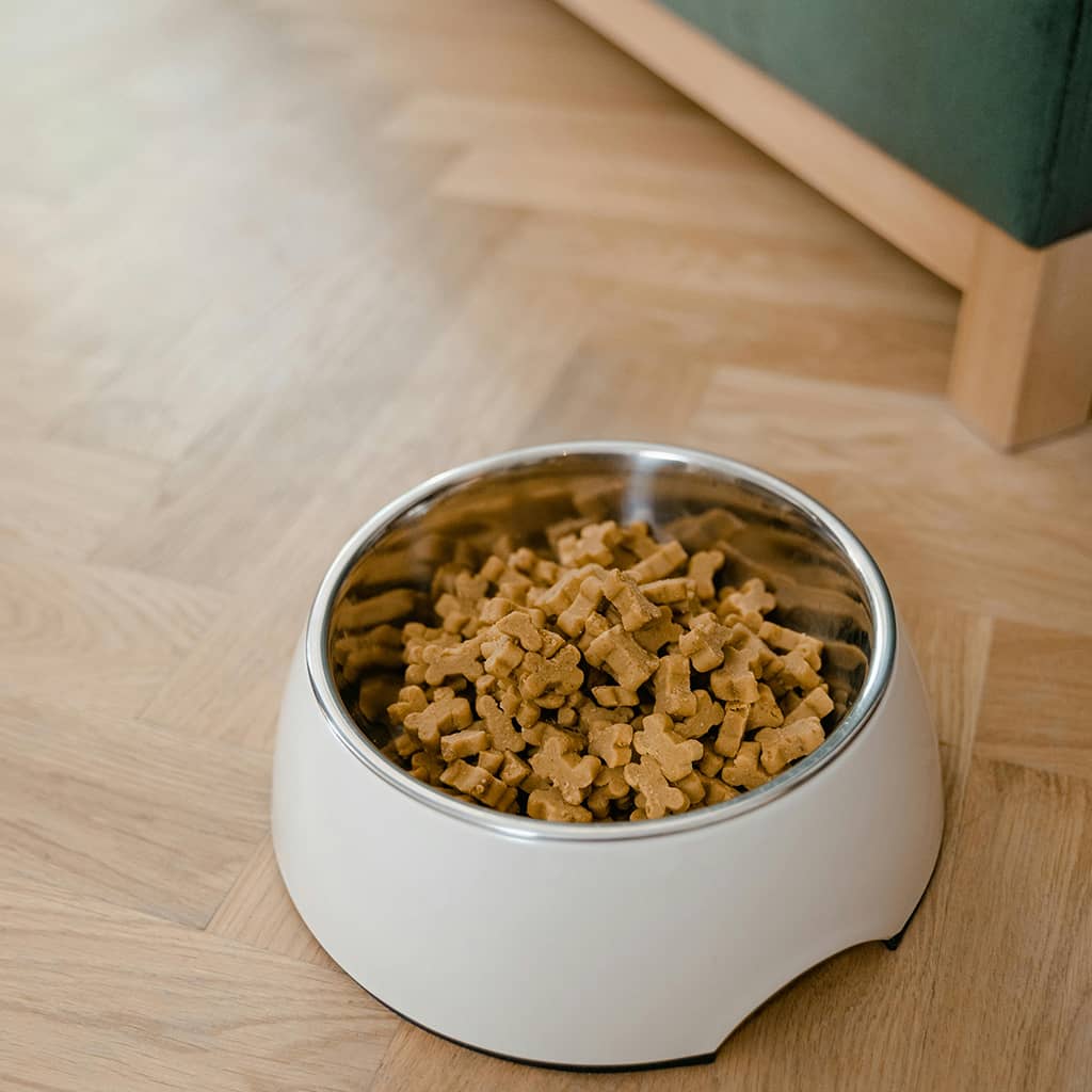 Senior Dog Food - Image 3