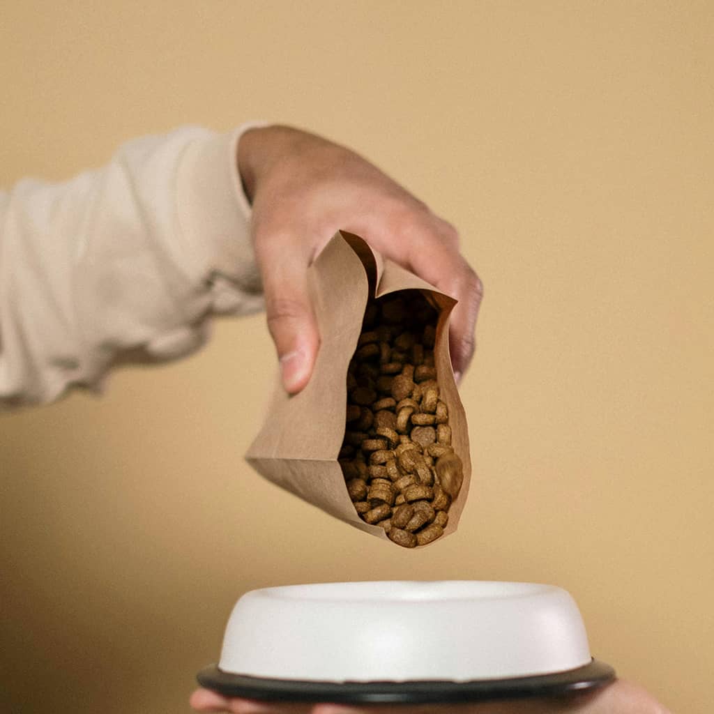 Senior Dog Food - Image 4