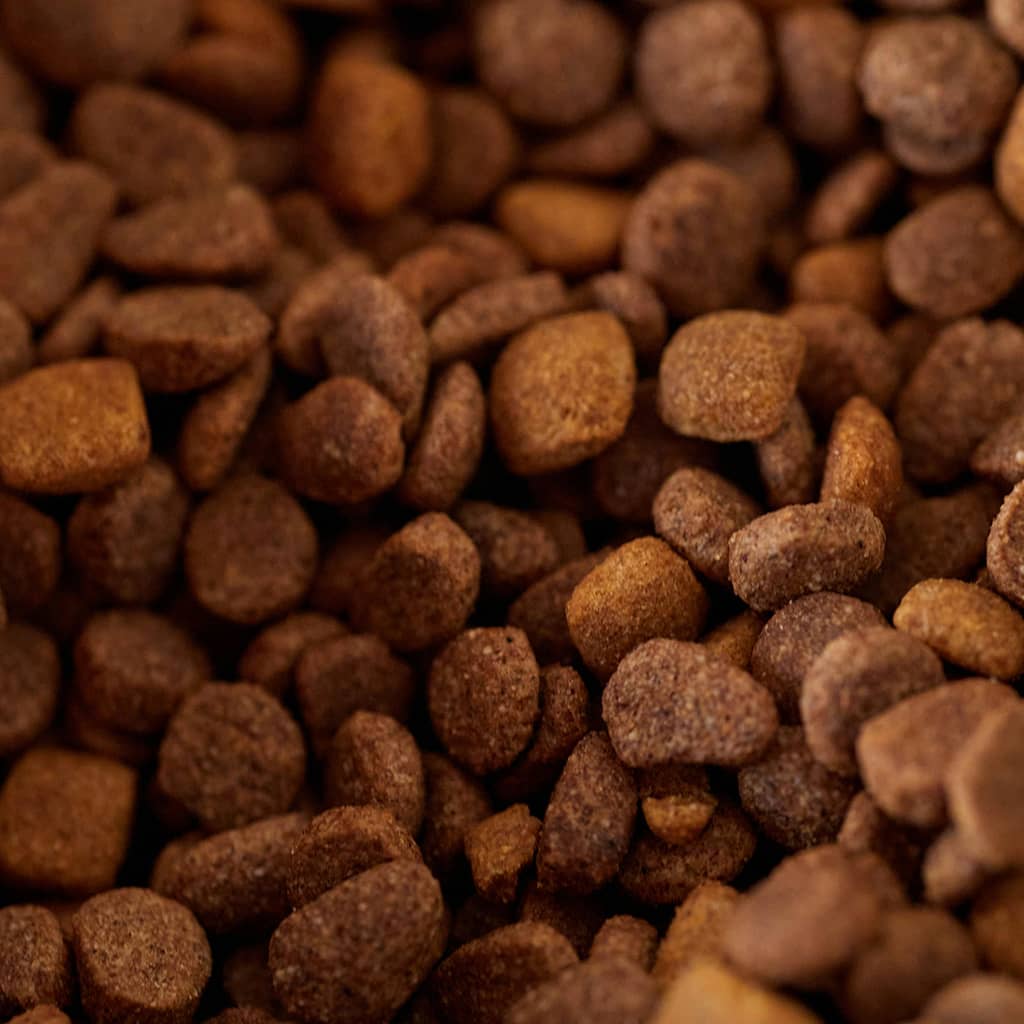 Senior Dog Food - Image 2