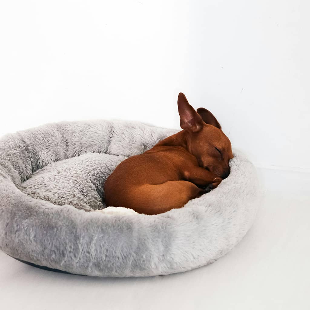 Donut bed - Image 3