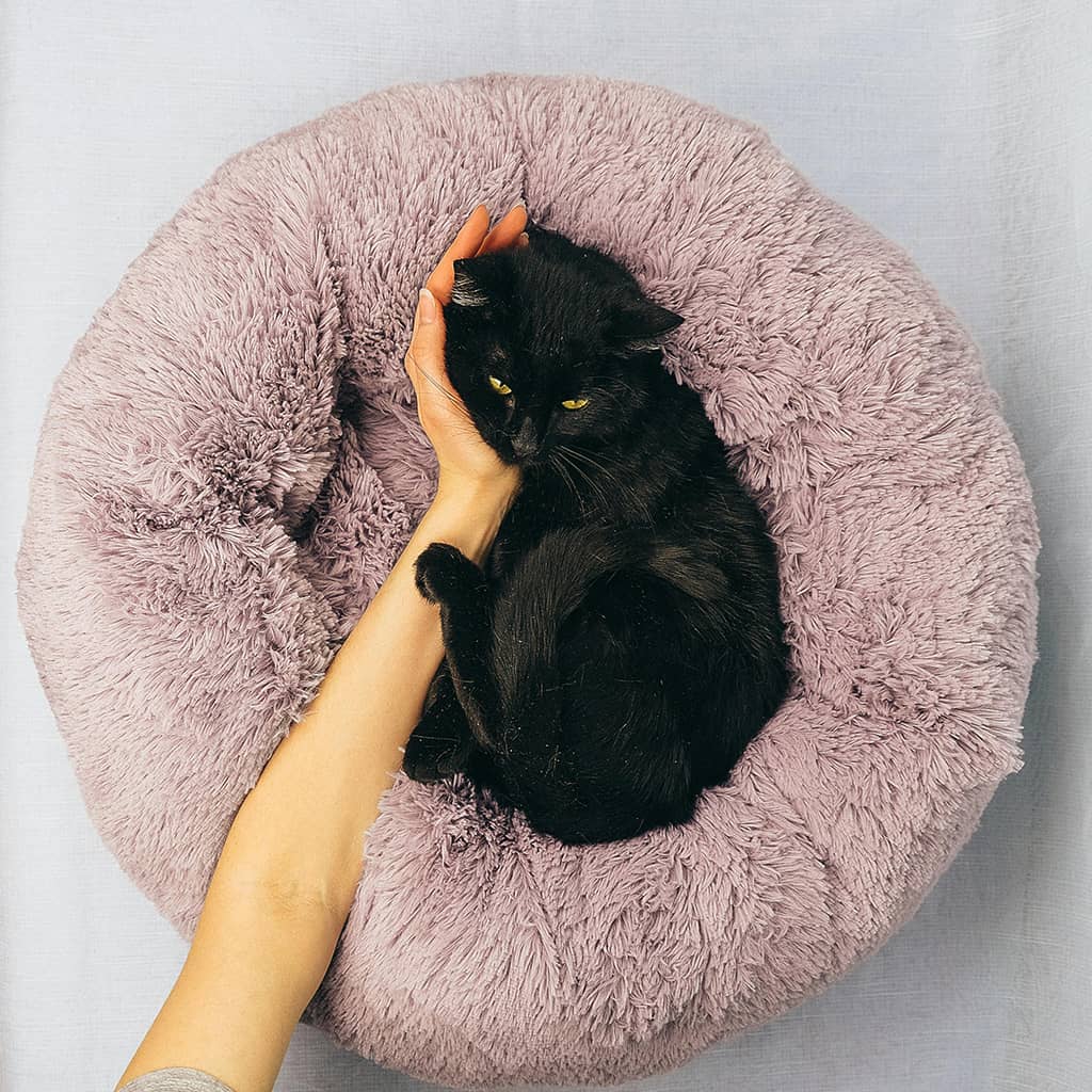 Donut bed - Image 2