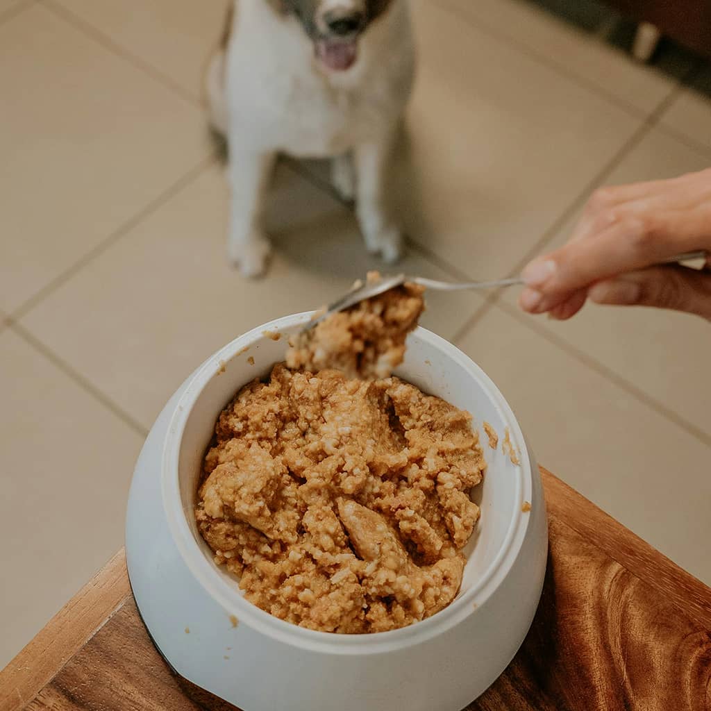 Dog Food - Image 4