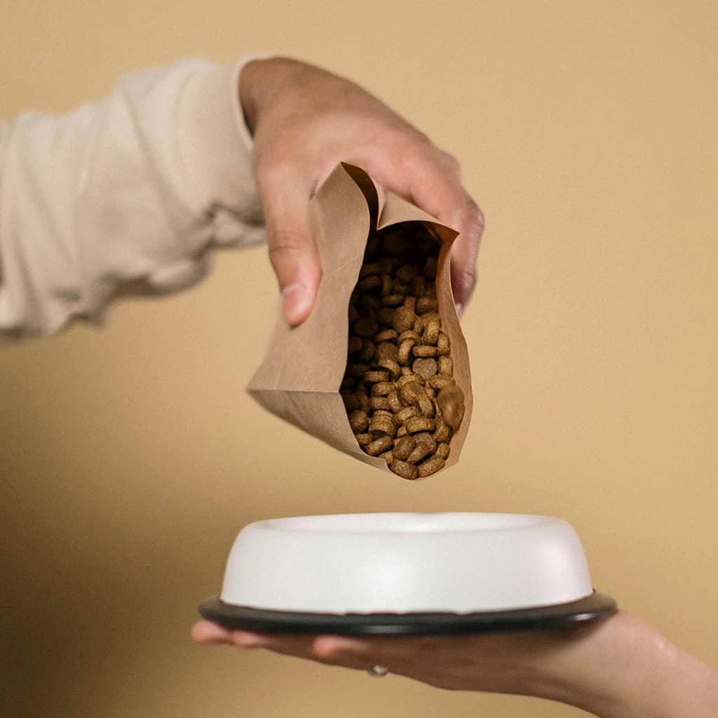 Dog Food - Image 2
