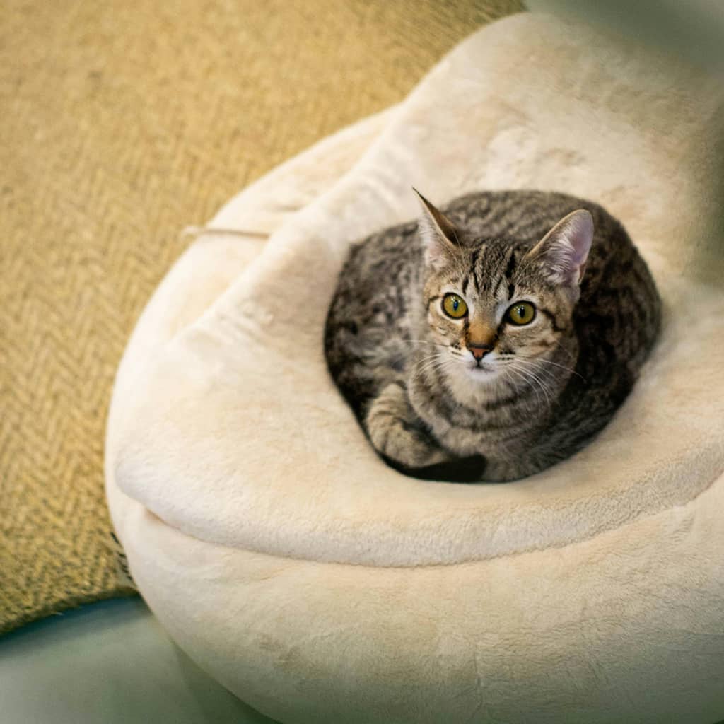 Heated beds - Image 3