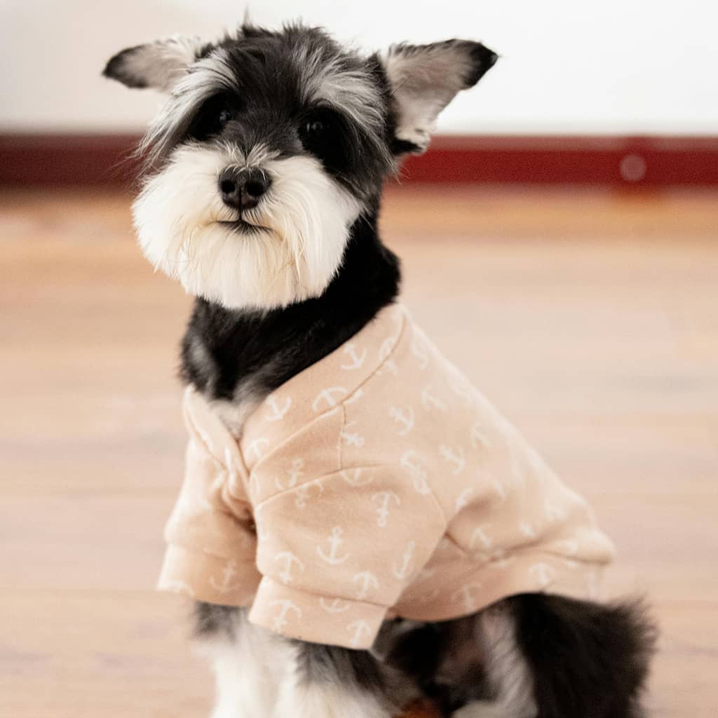 Hooded sweater - Image 4
