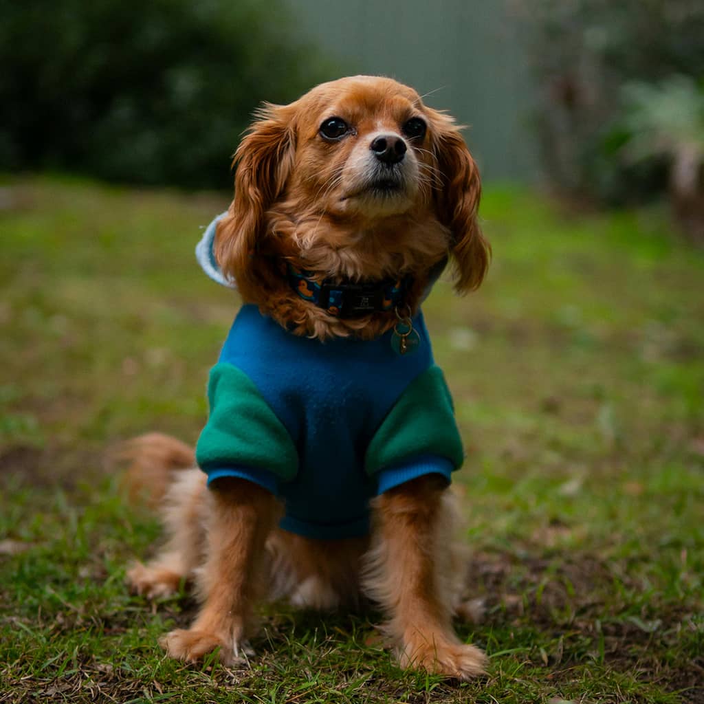 Hooded sweater - Image 2