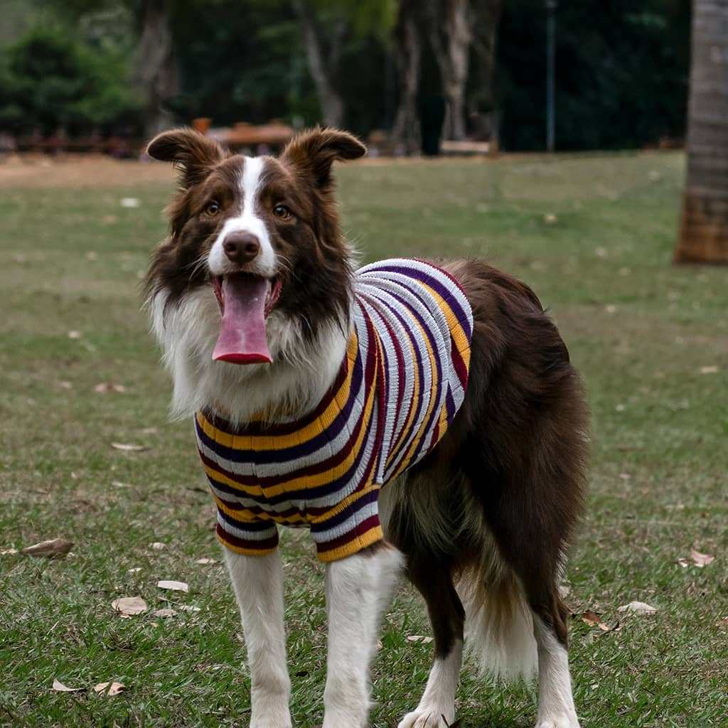 Lightweight Sweater - Image 3