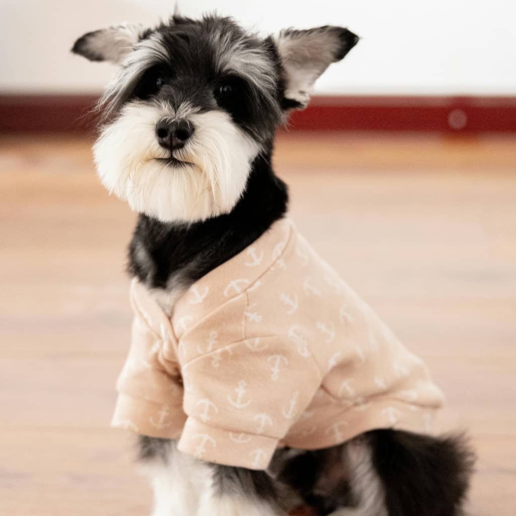 Lightweight Sweater - Image 4