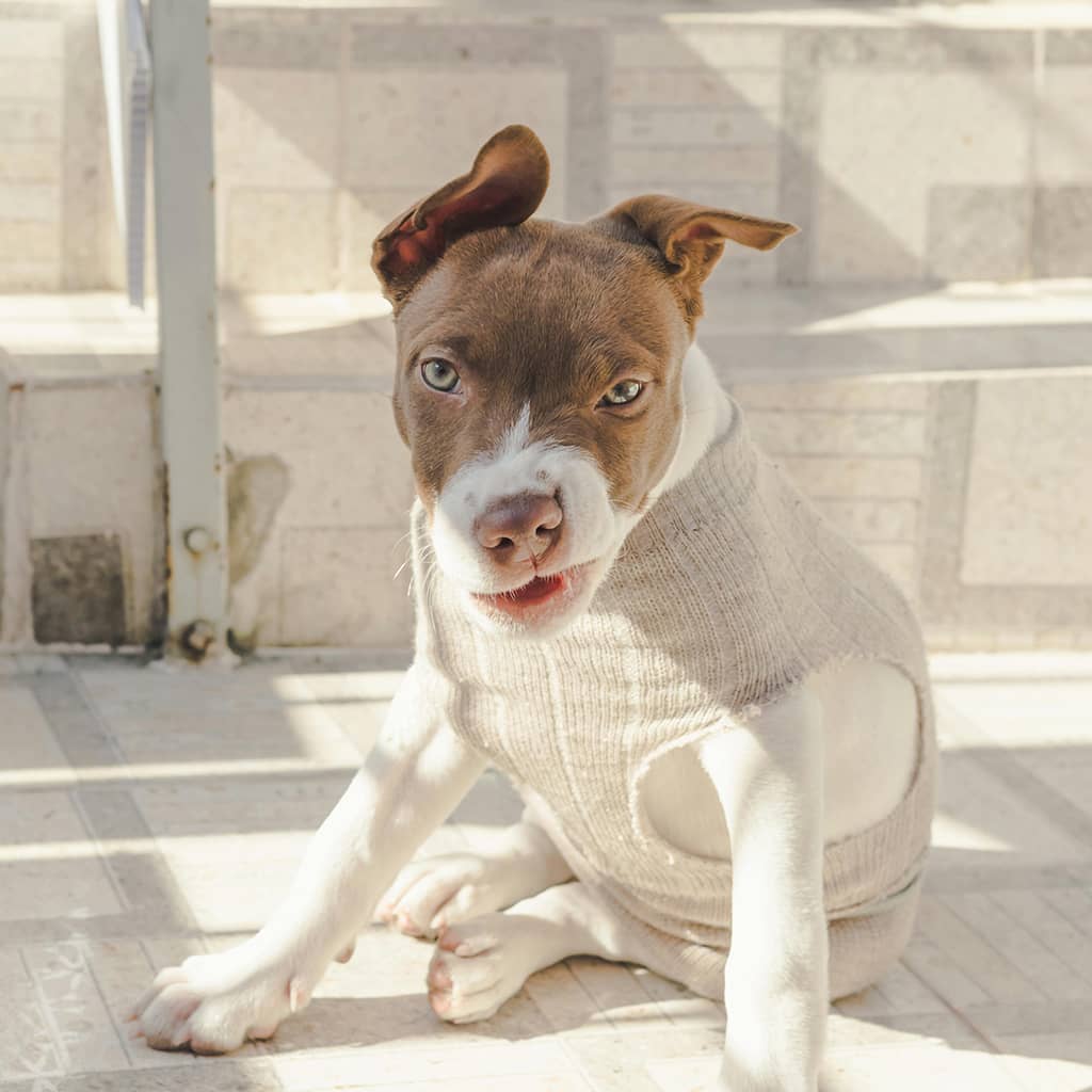 Lightweight Sweater - Image 2