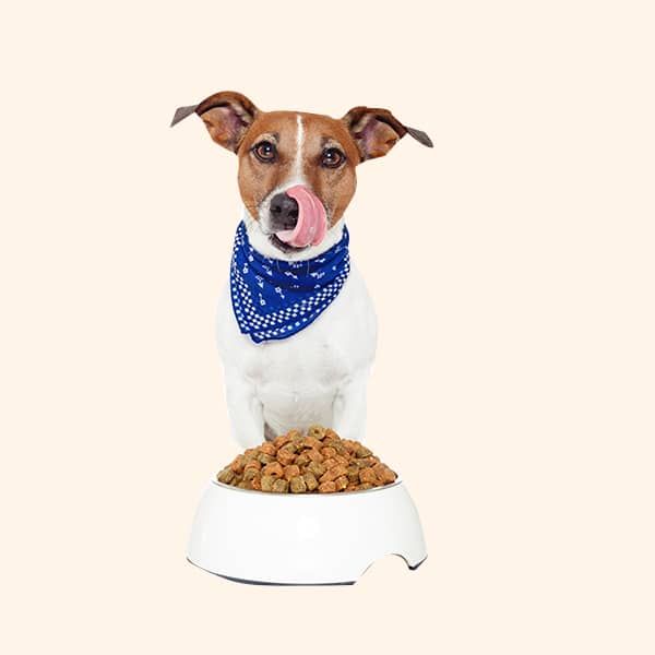 tasty-food