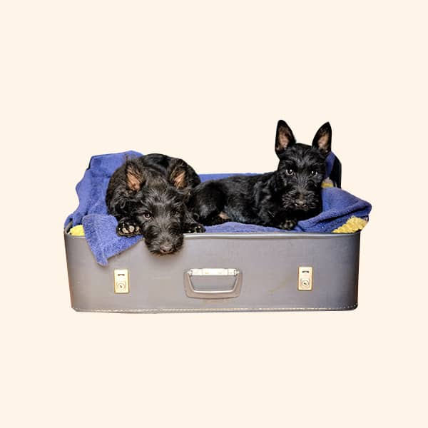 Heated beds