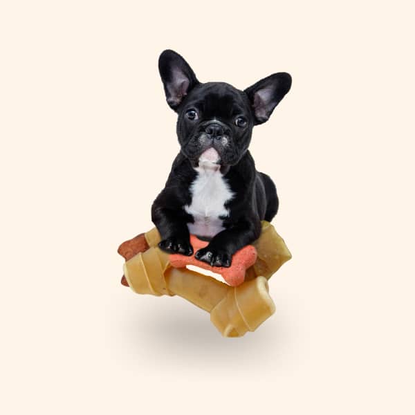 dog food
