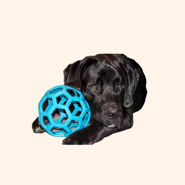 blue-ball