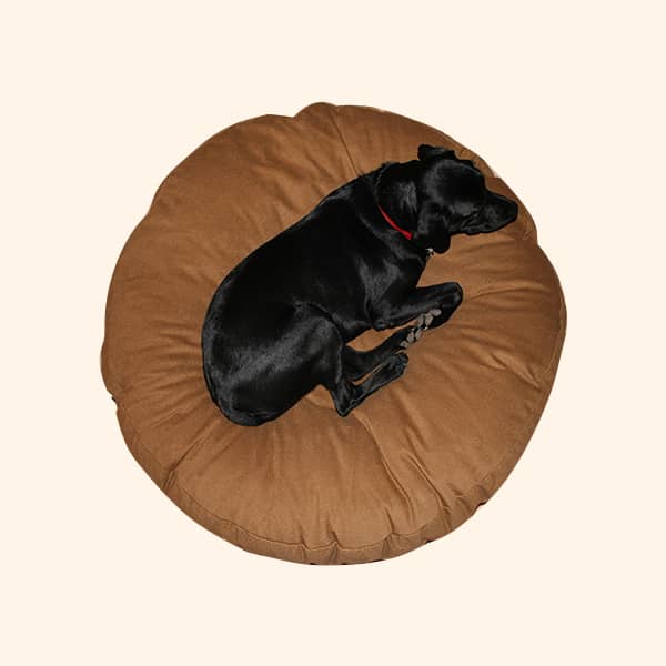 Donut dog beds