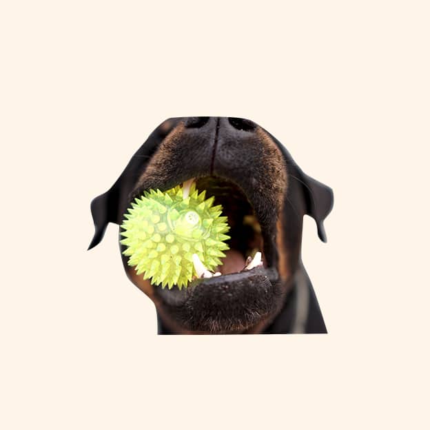 Squeeze Ball