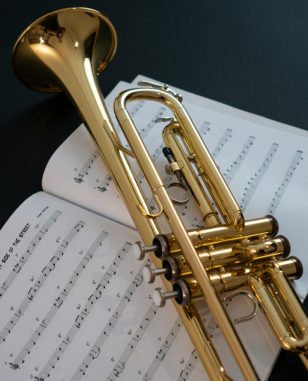 Echo Trumpet - Image 3
