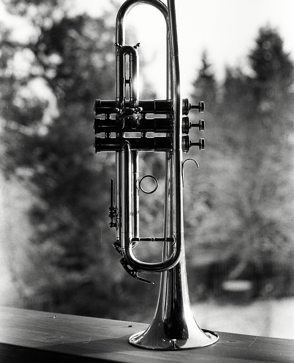 Echo Trumpet
