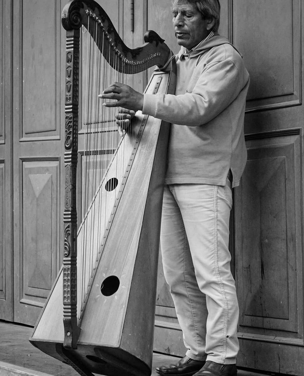 Harmony Harp - Image 2