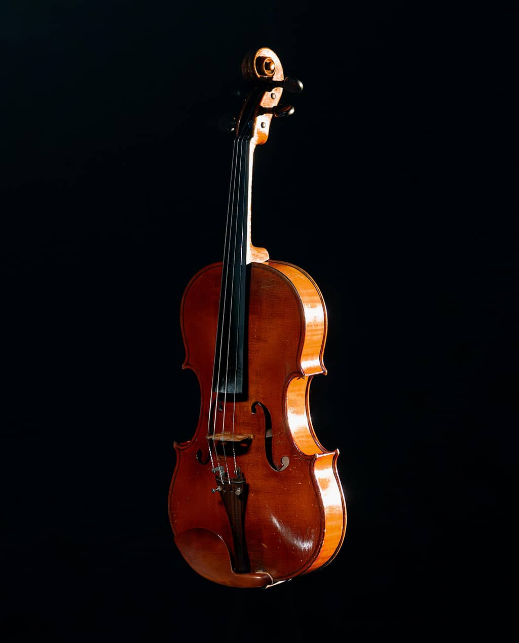 EchoTone Violin - Image 3