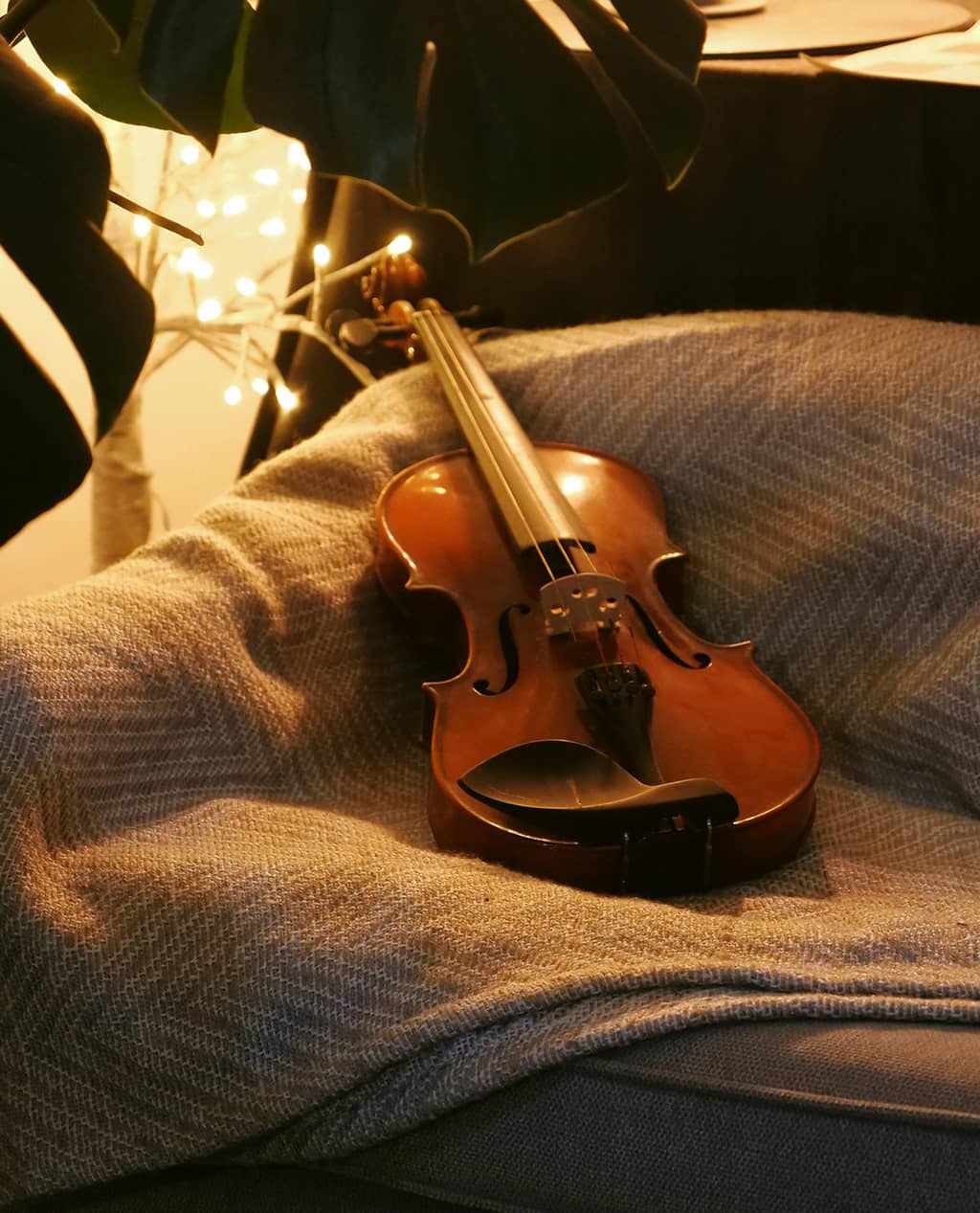EchoTone Violin - Image 4