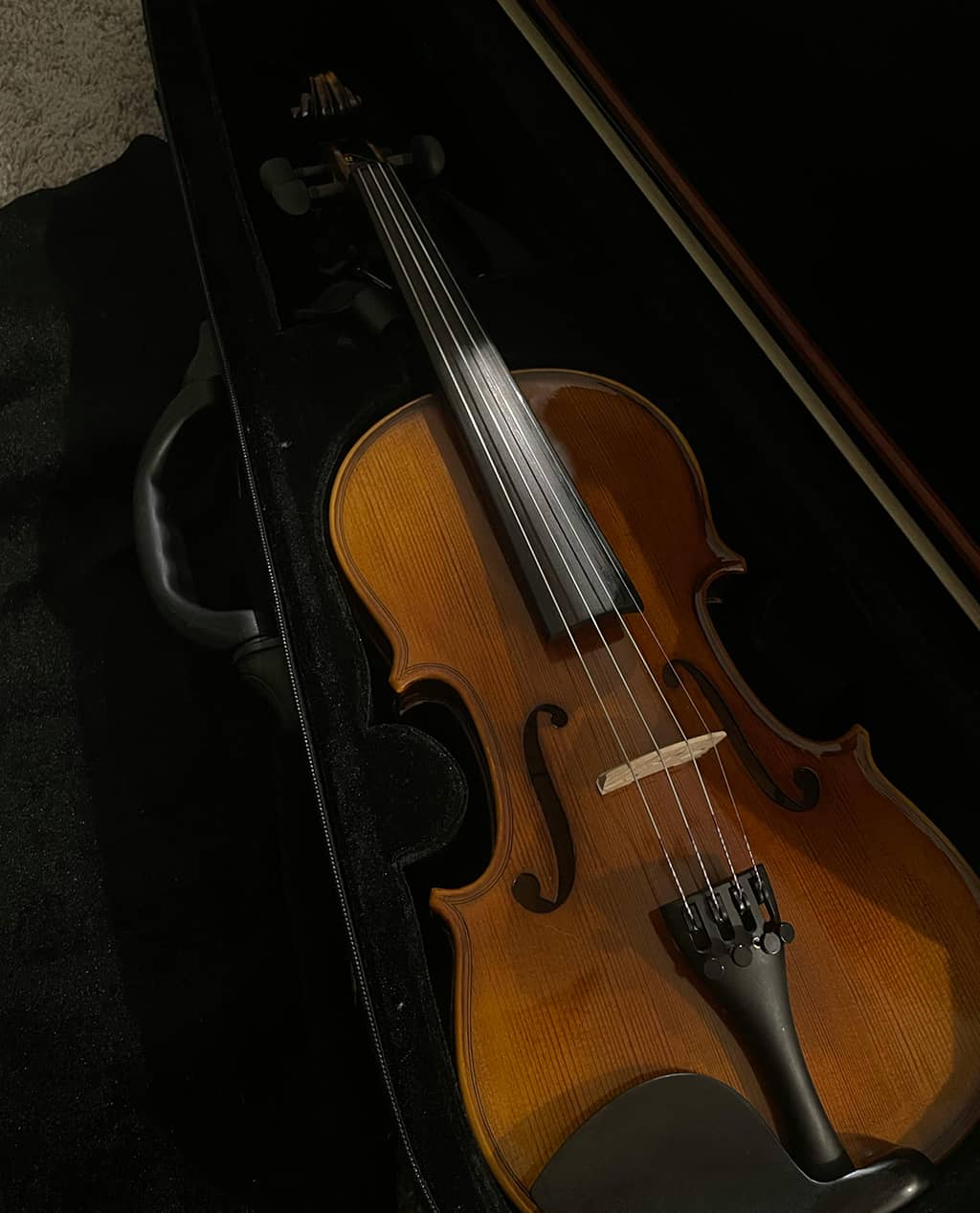 EchoTone Violin - Image 2
