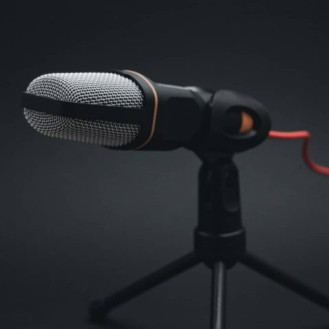 Mic 2024