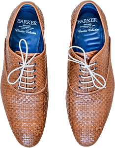 Elegant Shoes