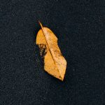 featured-content-one