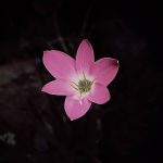 featured-content-two