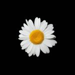 featured-three