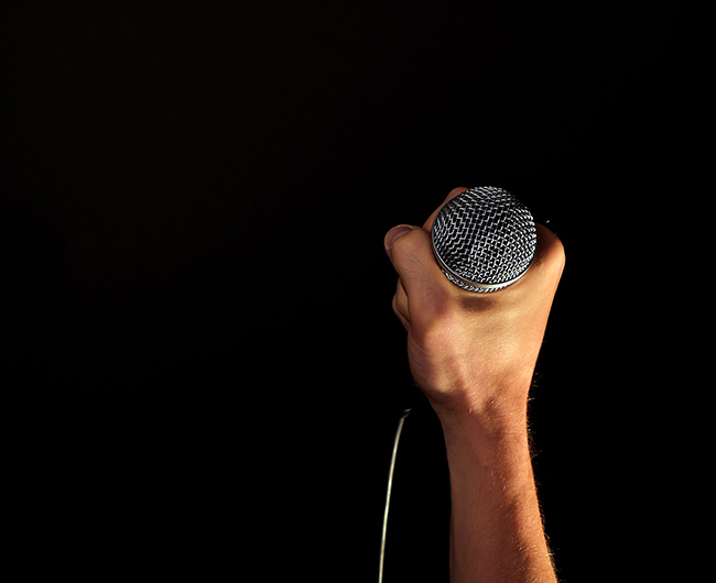 dynamic mic