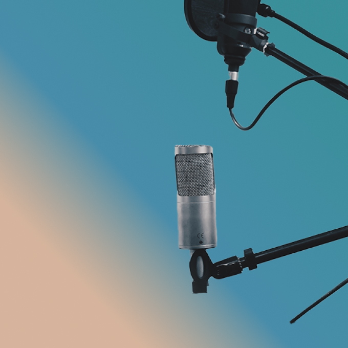 Mic System