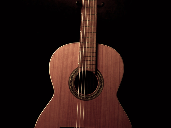 Guitar